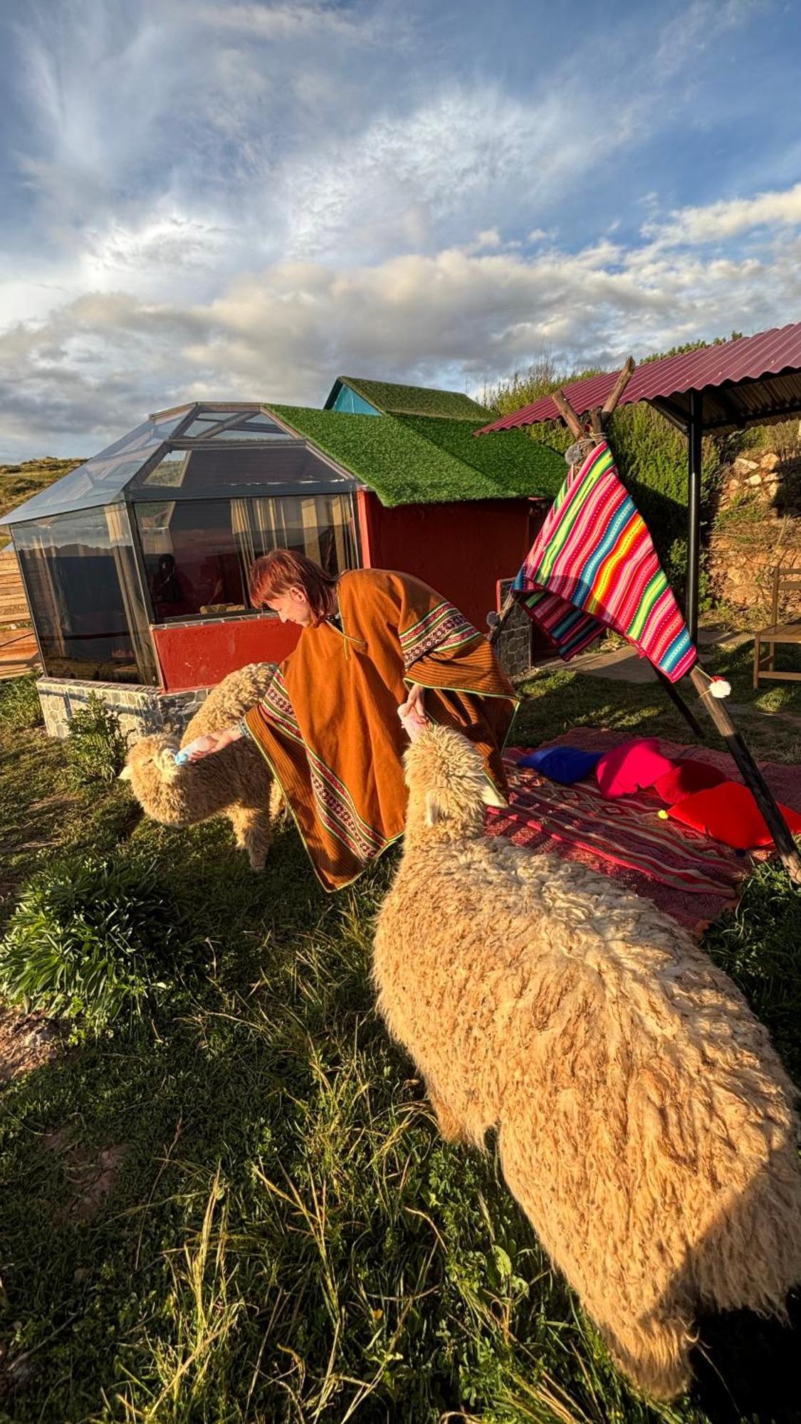 Sky Dome Peru Campsite *